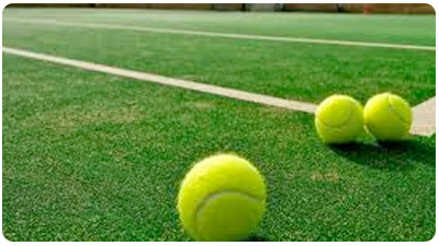 Анонс картинки для статьи «Особенности строительства теннисных кортов»